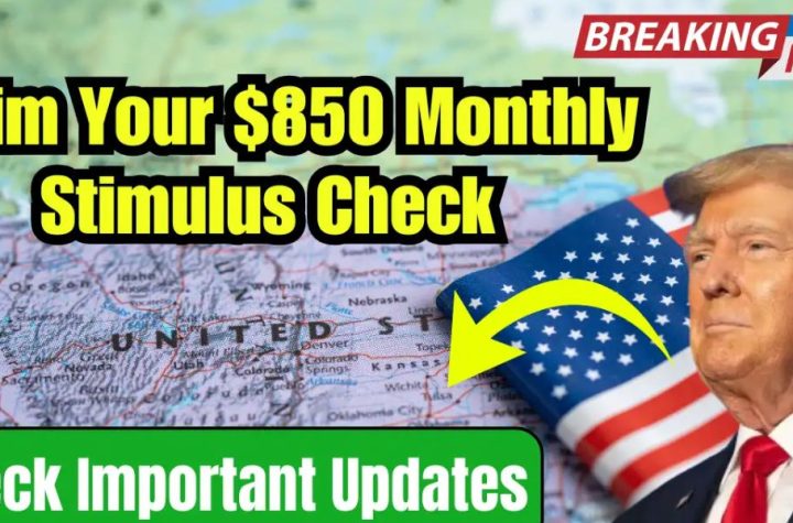 Breaking Down the $850 Monthly Stimulus Check Who Gets It and How It Works