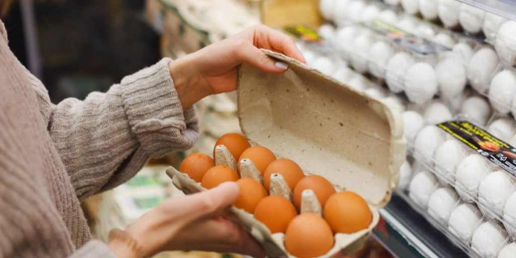 Egg Prices Climb Amid Bird Flu Crisis, Experts Warn of Continued Impact