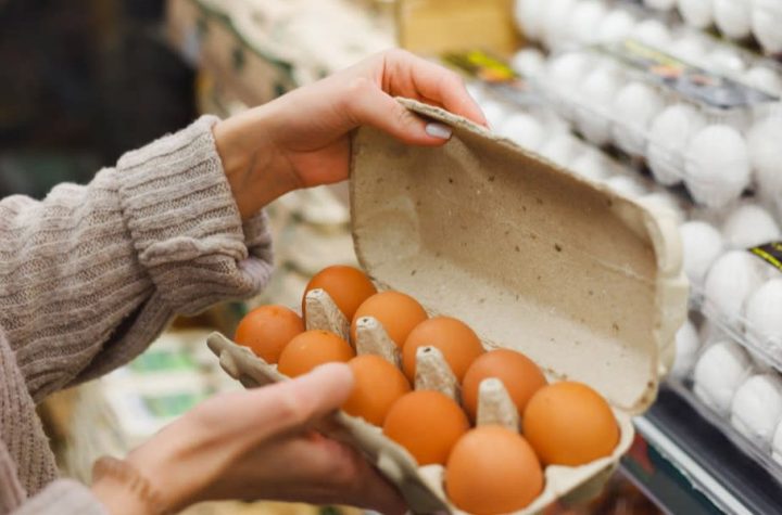 Egg Prices Climb Amid Bird Flu Crisis, Experts Warn of Continued Impact