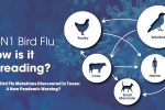 H5N1 Bird Flu Mutations Discovered in Texas: A New Pandemic Warning?