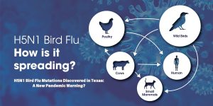 H5N1 Bird Flu Mutations Discovered in Texas: A New Pandemic Warning?