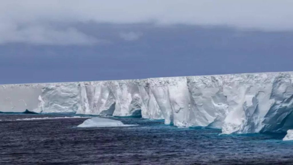 World’s Largest Iceberg A23a Threatens Wildlife on South Georgia Islands