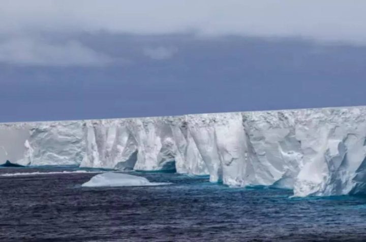 World’s Largest Iceberg A23a Threatens Wildlife on South Georgia Islands