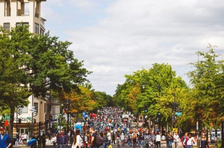 11 Local Phrases That Prove You’re a Lifelong District of Columbia Resident