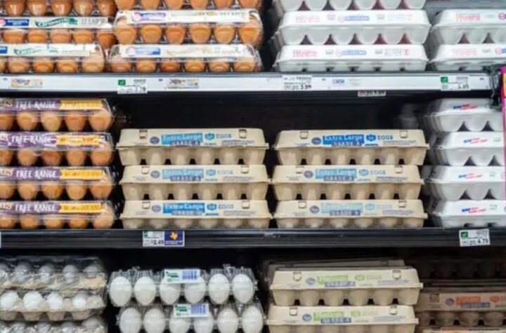 California’s Role in the Egg Shortage Explained What’s Behind It and What’s Ahead