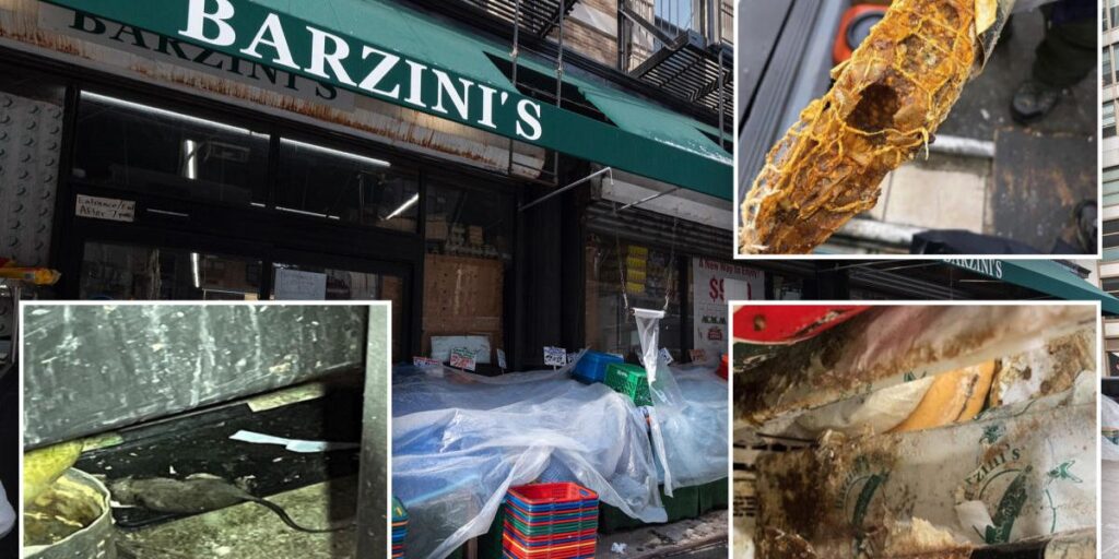 Dangerous Bell 'NOW'! Rodent Problems Force Closure of Well-Known NYC Grocery Store