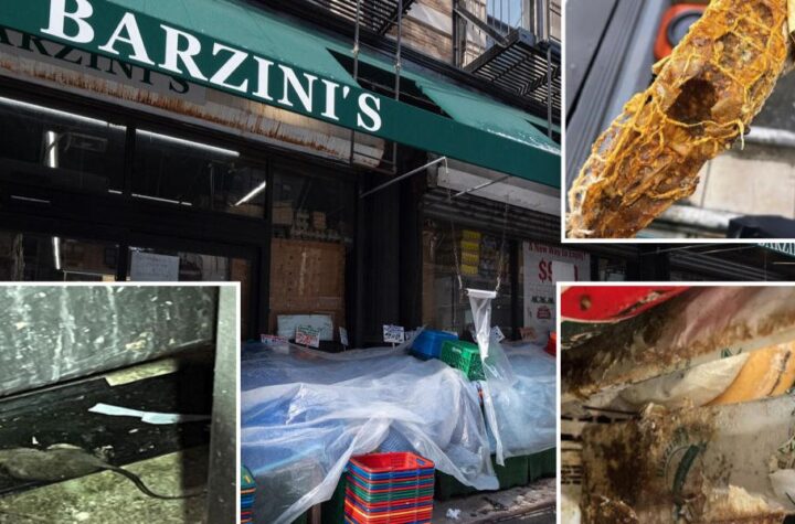 Dangerous Bell 'NOW'! Rodent Problems Force Closure of Well-Known NYC Grocery Store