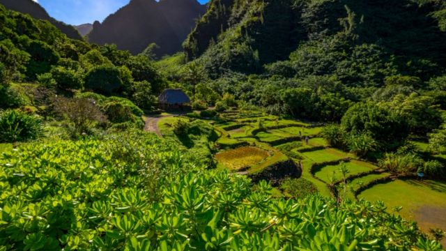 Explore 7 Jurassic Park Filming Locations in Hawaii That Brought Dinosaurs to Life