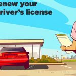 Florida Senior License Renewal Step-by-Step Guide for Drivers 80+