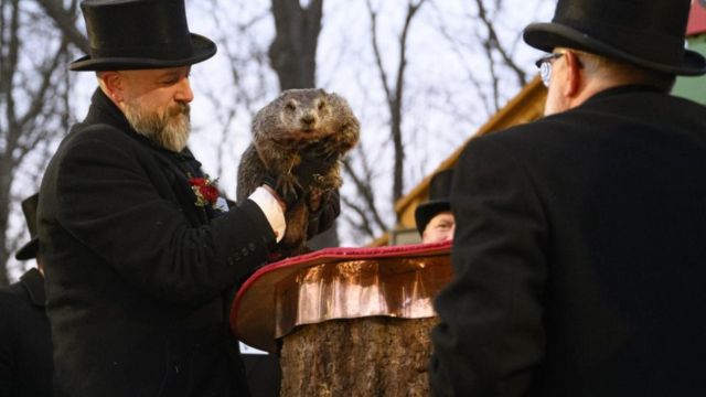 Is It True Affected! Groundhog Day 2025 in Staten Island The Prediction, Shadow, and How to Watch