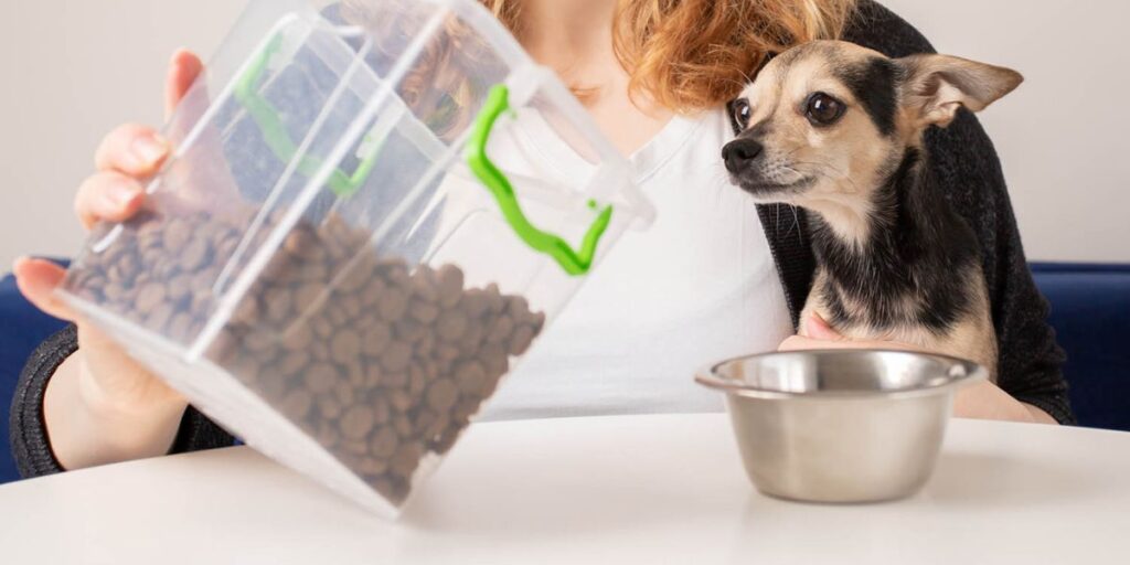 New Jersey’s New Pet Feeder Law What All Pet Owners Must Know