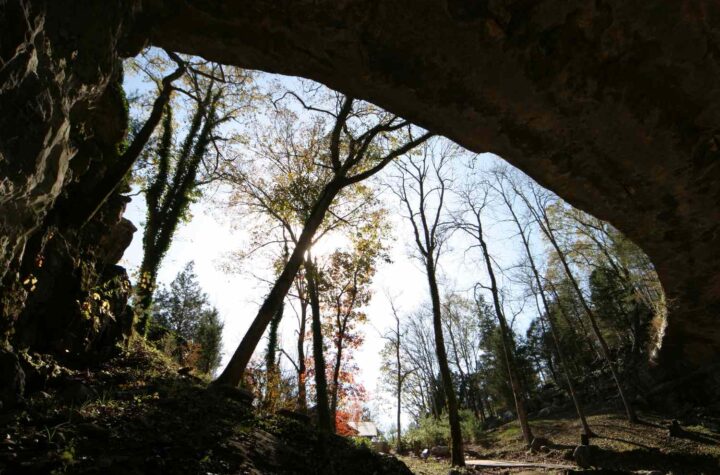 The Ultimate Guide to Visiting Rickwood Caverns