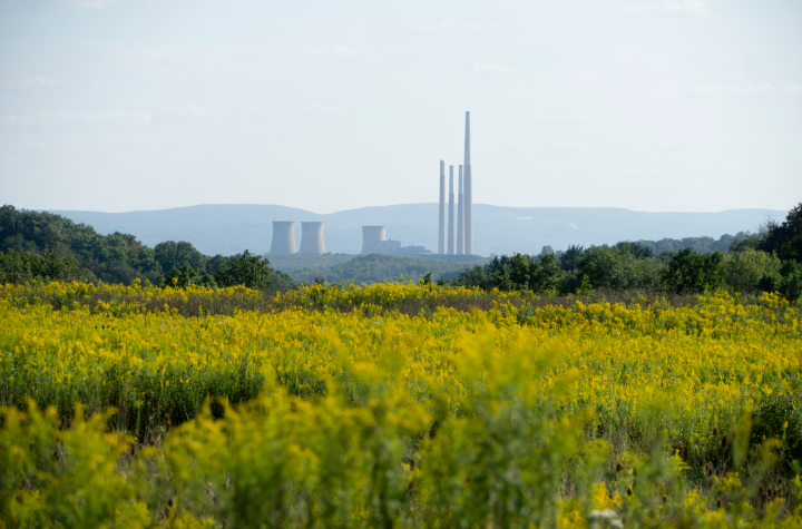 Pennsylvania Takes Major Step Toward Nockamixon Cleanup to Tackle Toxic Contamination Issues