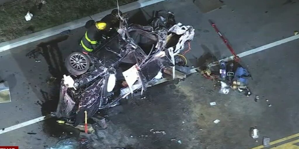2 Brothers Dead, 2 Critically Injured After Car Falls 30 Feet From I-95 in Philly
