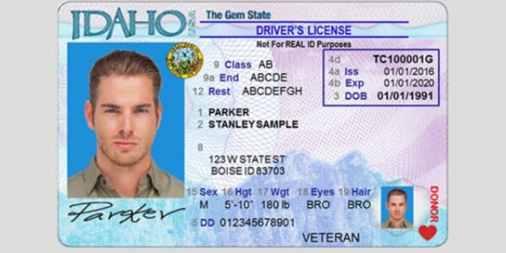 Driver’s License Renewals in Idaho Latest Requirements and Rules for Drivers