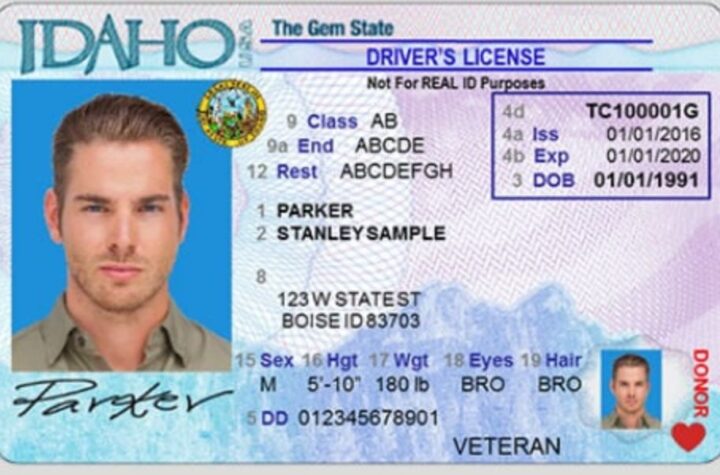 Driver’s License Renewals in Idaho Latest Requirements and Rules for Drivers