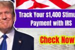 Missed Your $1,400 Stimulus Payment Follow These Steps to Claim It From the IRS