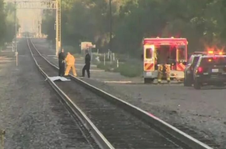 Two Pedestrians Fatally Hit by Train at Roscoe and Balboa Boulevards in Los Angeles, Authorities Confirm