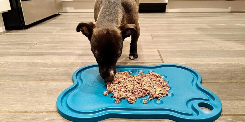 Understanding Alaska's New Pet Feeder Law A Must-Read for Pet Owners