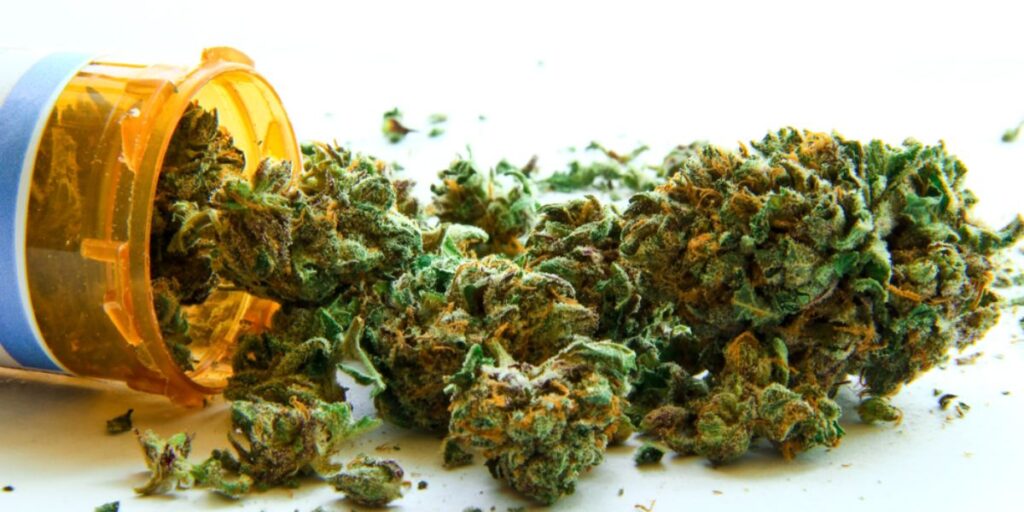 Utah’s Cannabis Laws What You Need to Know About Medical and Recreational Use