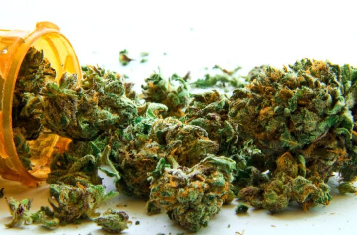 Utah’s Cannabis Laws What You Need to Know About Medical and Recreational Use