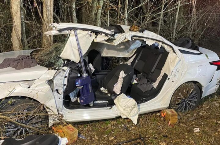 1 Dead After Truck Slams Into Tree in Maury County, Victims Trapped in Wreckage