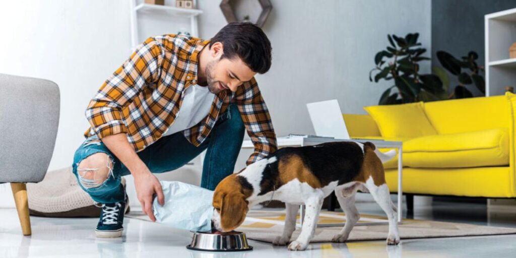 Cincinnati’s Pets Feeder Law Big Changes Every Pet Owner Needs to Follow