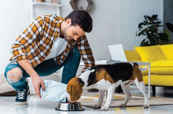 Cincinnati’s Pets Feeder Law Big Changes Every Pet Owner Needs to Follow