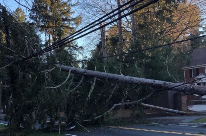 Powerful Winds Knock Down Trees and Power Lines, Causing Major Outages and Delays Across Pennsylvania