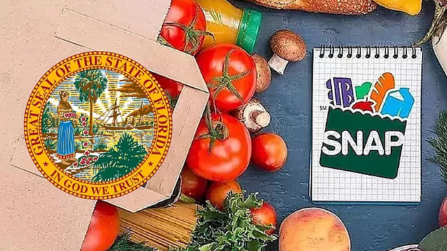 Florida SNAP Recertification: Key Dates to Renew Benefits for May 2025
