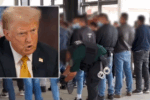 Judge Rules Trump Admin Can Use Taxpayer Info for Immigration Enforcement