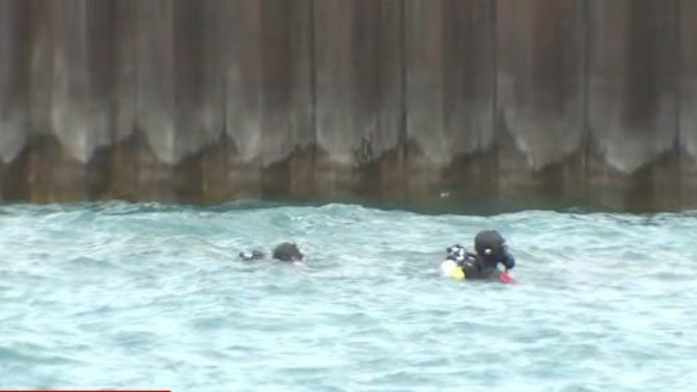 One Dead After Being Pulled from Lake Michigan at 31st Street Beach