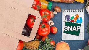 SNAP Benefits Duration What to Know About Receiving Food Stamps