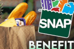 SNAP Recertification Deadline Approaching: Renew by May 2025 to Keep Benefits