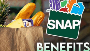 SNAP Recertification Deadline Approaching: Renew by May 2025 to Keep Benefits