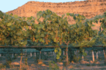 Sip Your Way Through New Mexico’s Best Wineries