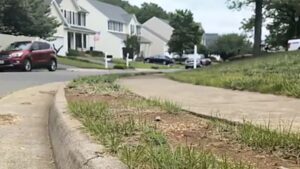 Teen Killed in Virginia After Homeowner Opens Fire During TikTok Prank