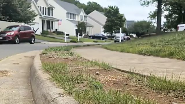 Teen Killed in Virginia After Homeowner Opens Fire During TikTok Prank