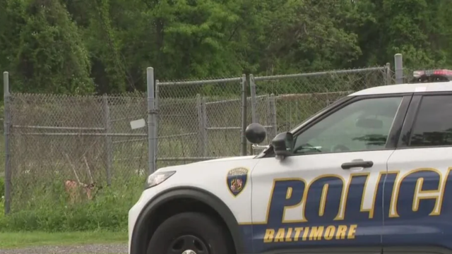 Teens Arrested After Alleged Attack on Two Women at Baltimore Community Garden