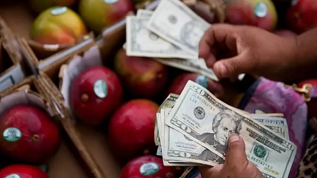 Texas SNAP Payments Scheduled for May 4–11: Who Will Receive Them?