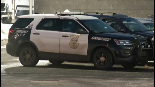 Young Girl Dies After Being Struck by Vehicle in Springfield
