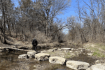 Explore Iowa’s Hidden Beauty on a Hike Through Baileys Ford Park