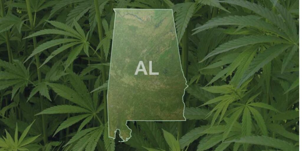 Is Marijuana Legal in Alabama Here’s What You Need to Know