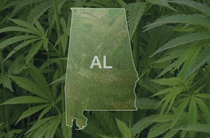 Is Marijuana Legal in Alabama Here’s What You Need to Know