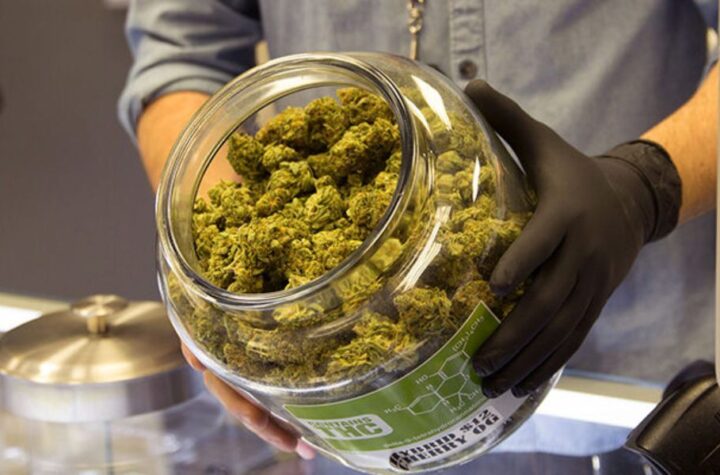Is Marijuana Legal in Arizona in 2025 Full Legal Breakdown