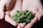 Is Marijuana Legal in Illinois in 2025 Full Legal Breakdown