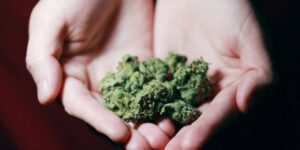Is Marijuana Legal in Illinois in 2025 Full Legal Breakdown