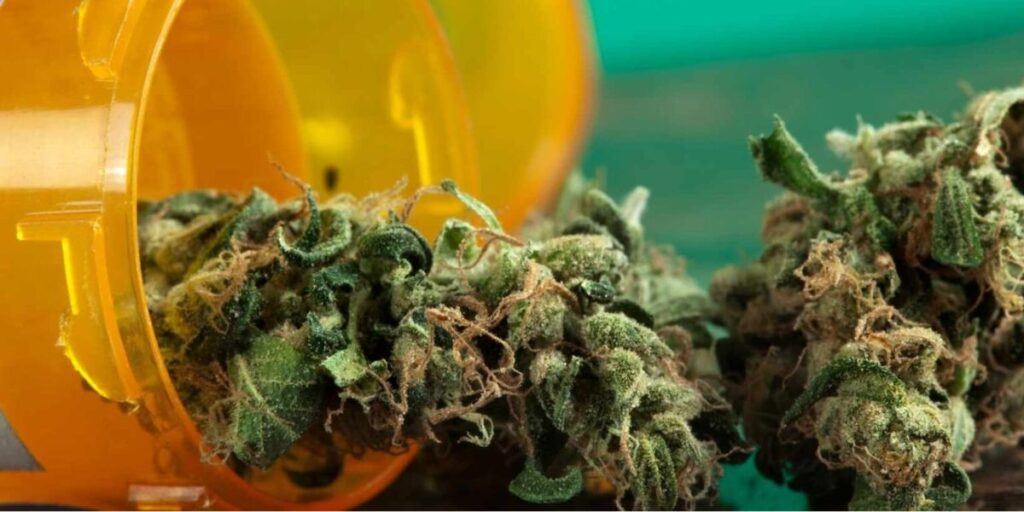 Is Marijuana Legal in Louisiana Here’s What You Need to Know