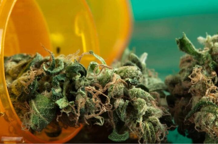 Is Marijuana Legal in Louisiana Here’s What You Need to Know