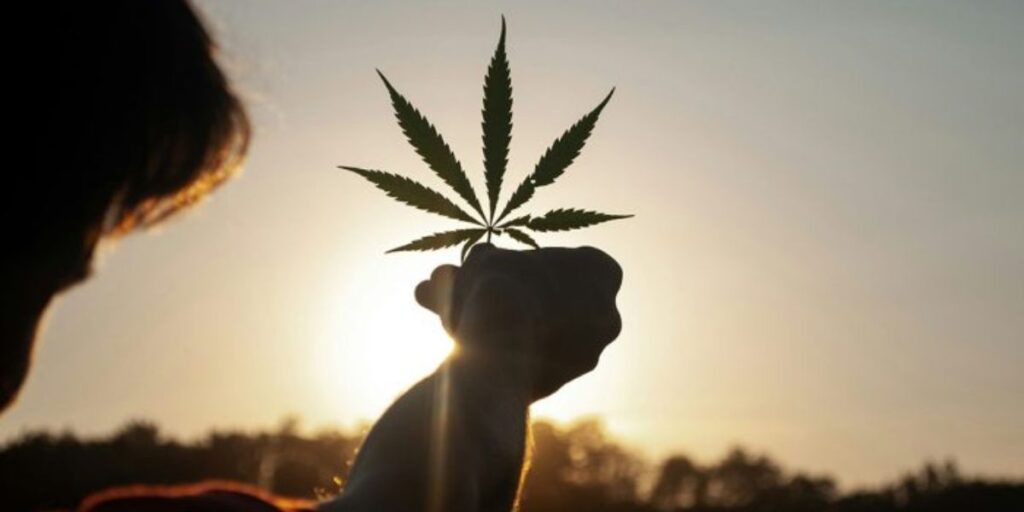 Is Marijuana Legal in New Hampshire? Here’s What You Need to Know